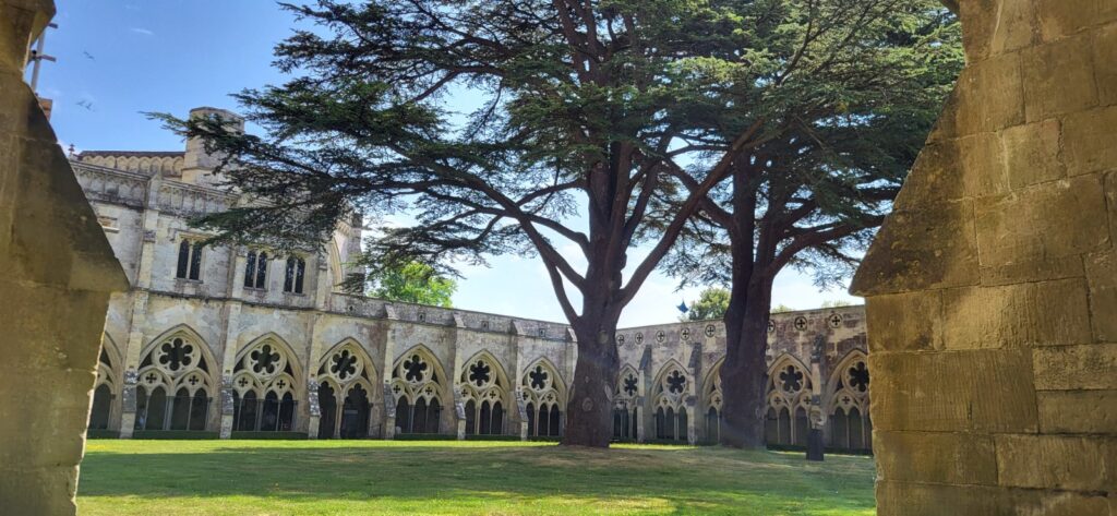 Die Zedern in den Kreuzgängen von Salisbury, die zur Feier der Thronbesteigung von queen Victoria im Jahr 1837 gepflanzt wurden