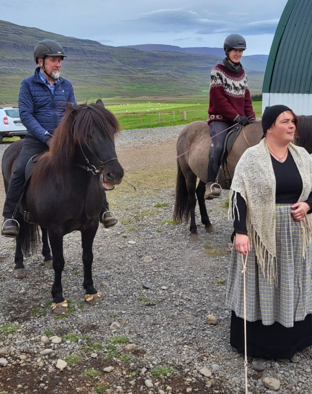 Islandpferde auf dem Pferdehof Lytingsstadir im Skagafjördur – traditionelle isländische Pferderasse
